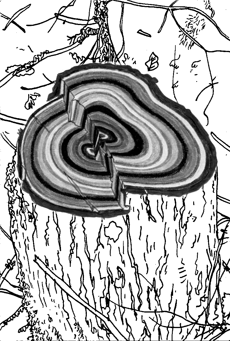 GRRRR.net pictures only