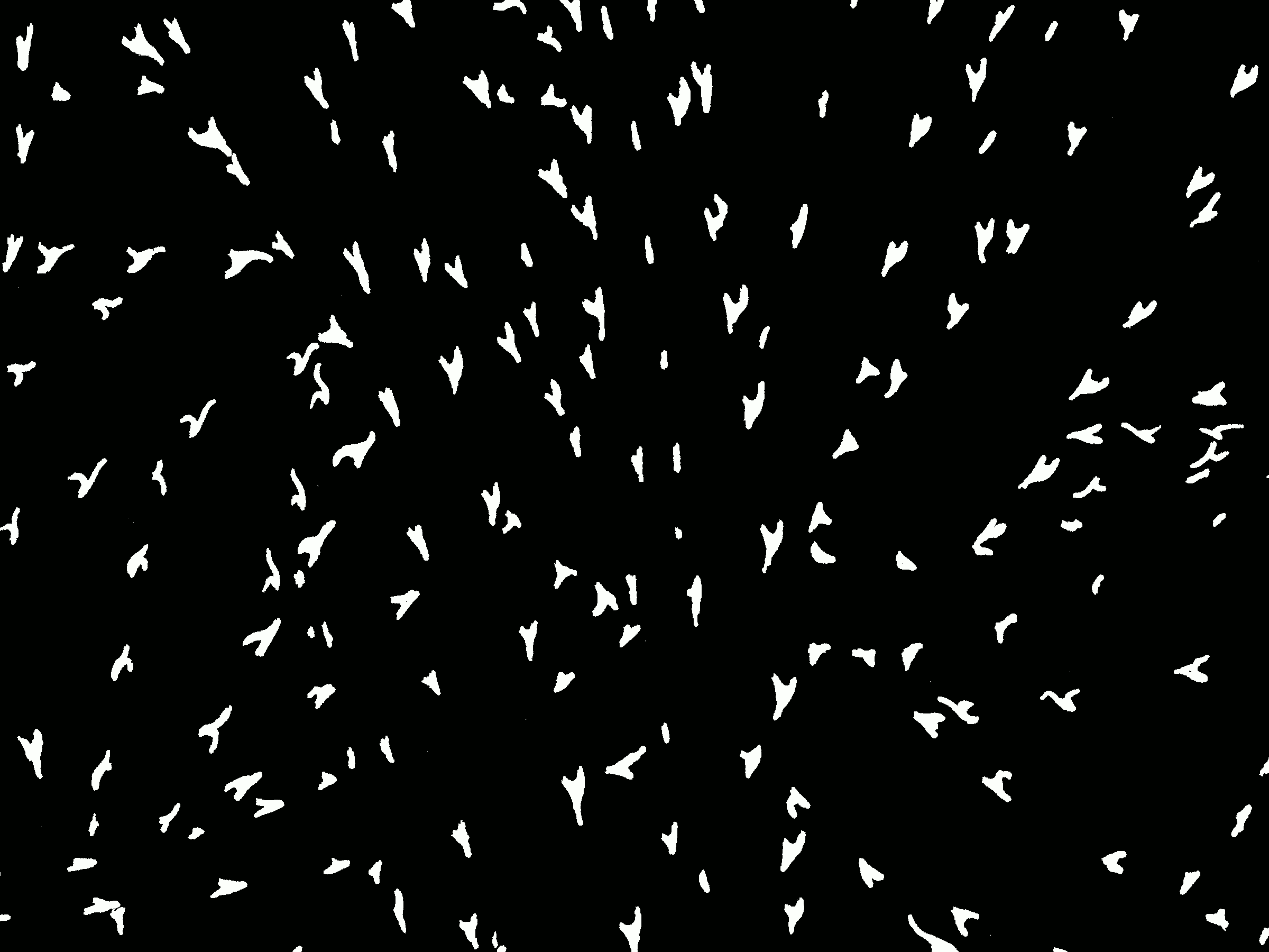 GRRRR.net pictures only