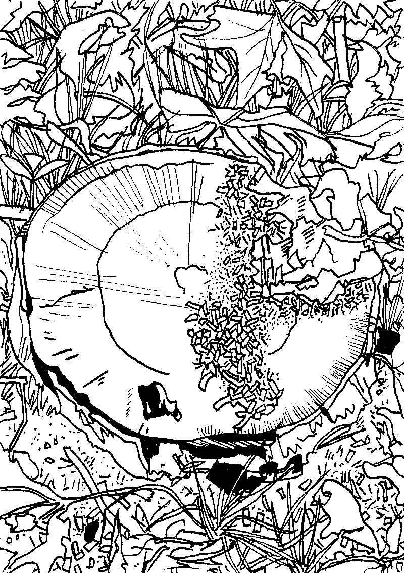 GRRRR.net pictures only