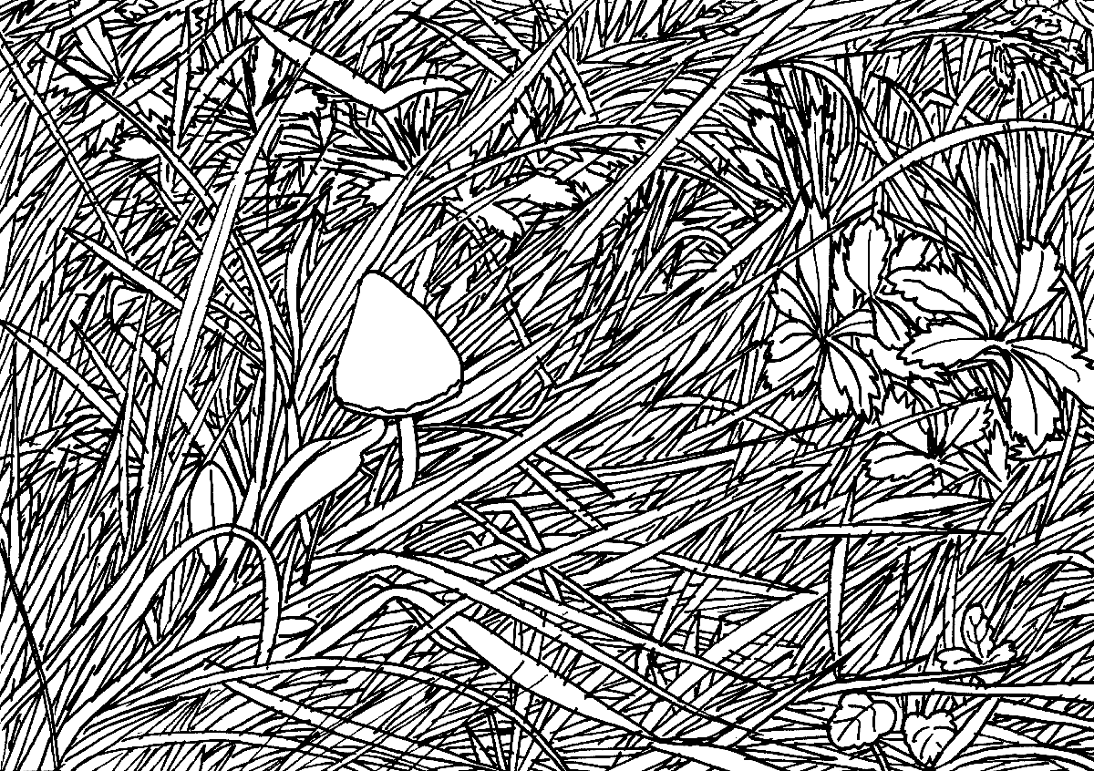 GRRRR.net pictures only