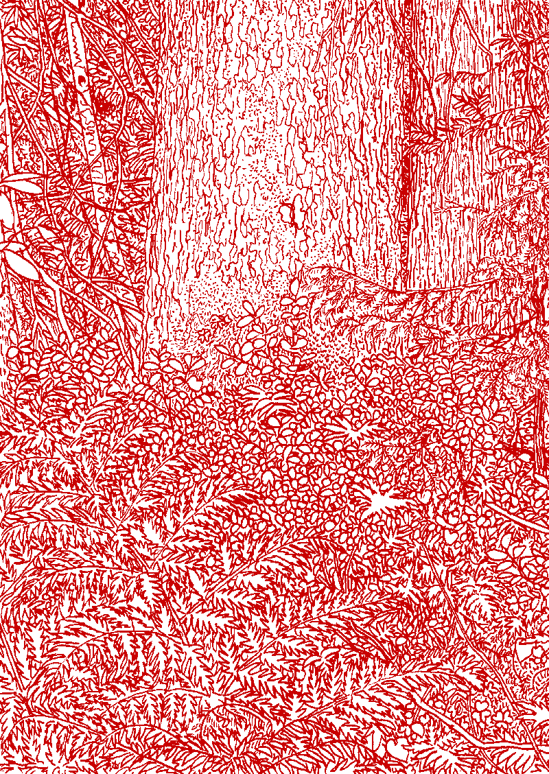 GRRRR.net pictures only