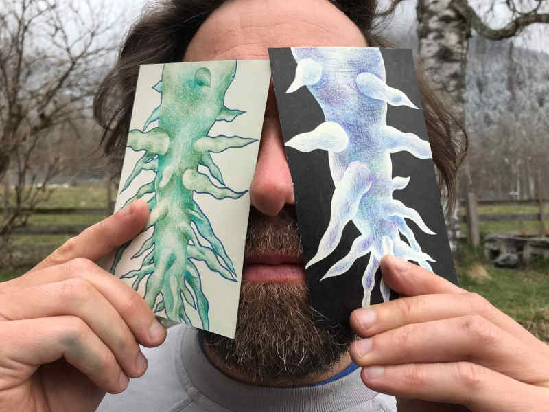 GRRRR.net pictures only